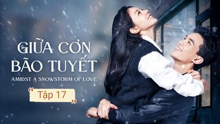 Phim Giữa Cơn Bão Tuyết - Tập 17 | Vietsub