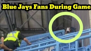 BLUE JAYS FANS CAUGHT HAVING S-X DURING GAME... Allegedly .. toronto blue jays fans video