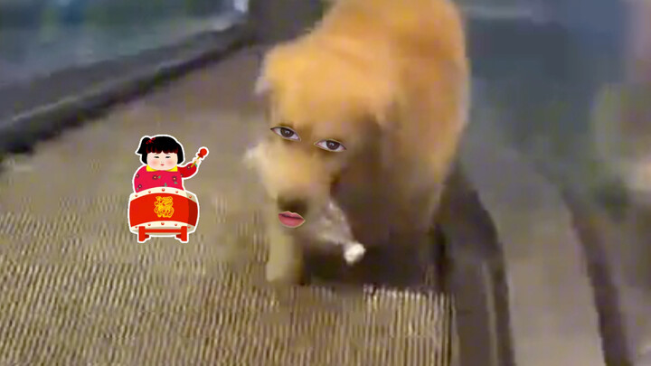 Tôi vẫn chưa biết là không lên được.