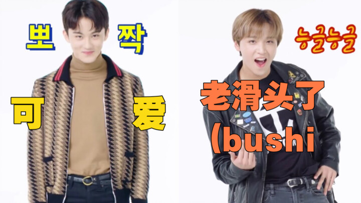 [NCT] Hae-chan and Mark compare the extremes and the other extreme
