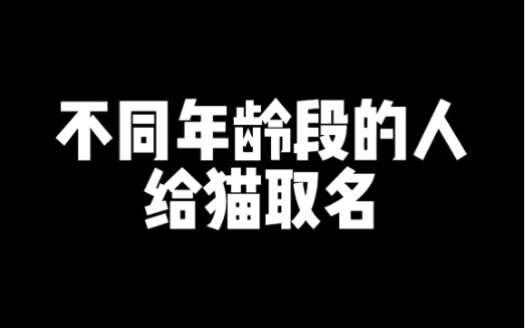 People of different age groups naming cats