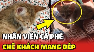 Đi Cafe gặp nhân viên 4 CHÂN khinh thường khách hàng MANG DÉP và cái kết 😂 | Yêu Lu