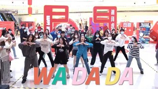 【Kep1er】集体拜年好欢乐！WA DA DA 随机舞蹈|随唱谁跳东莞站第二次KPOP随机舞蹈