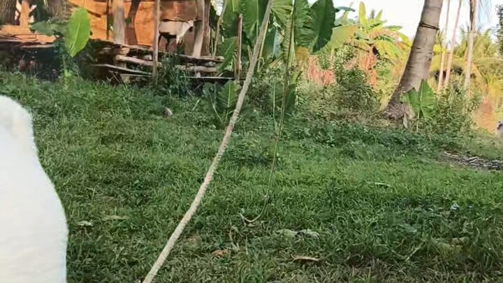 Mahirap pero Kakayanin
