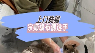 Cat grooming service at home in Changsha—Ragdoll care and grooming; this skill is truly impressive!