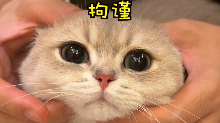 完蛋了，babi好像搞错我和它的关系了！！