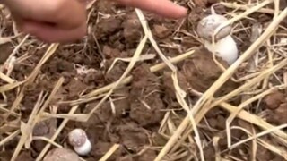 信息化时代的意义，在这一刻体现的淋漓尽致