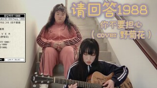 【請回答1988】你不要擔心（Cover 野菊花）