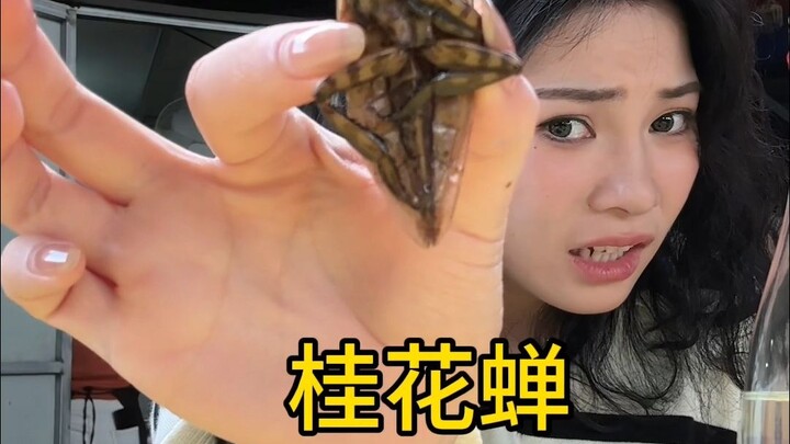 Report: These two dishes are way better than peanuts!