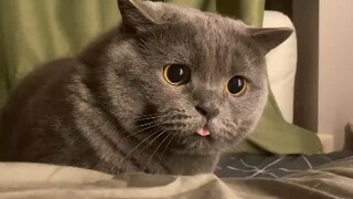 Lidah kecil itu sungguh lucu.