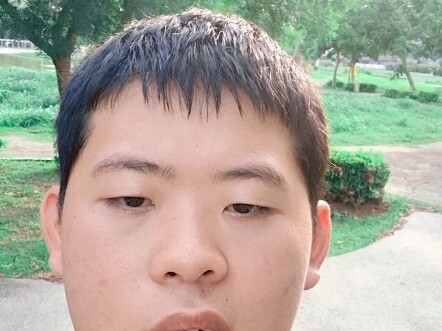 來自台灣人的懺悔，我的父母都是台獨份子，但我依舊愛著他們......