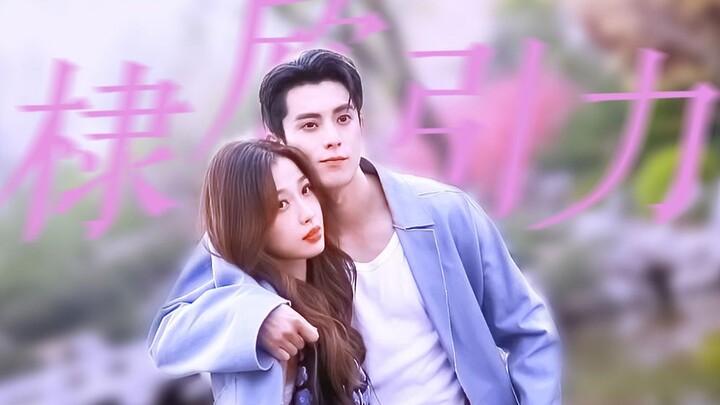 【Gravitasi Di Xin】“Aku juga nggak mau shipin, tapi mereka benar-benar manis banget!!” //Manis x Kere