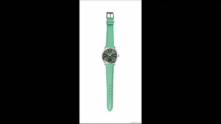 Omega Seamaster Aqua Terra Green Dial (220.13.41.21.10.001) Omega Watch Review