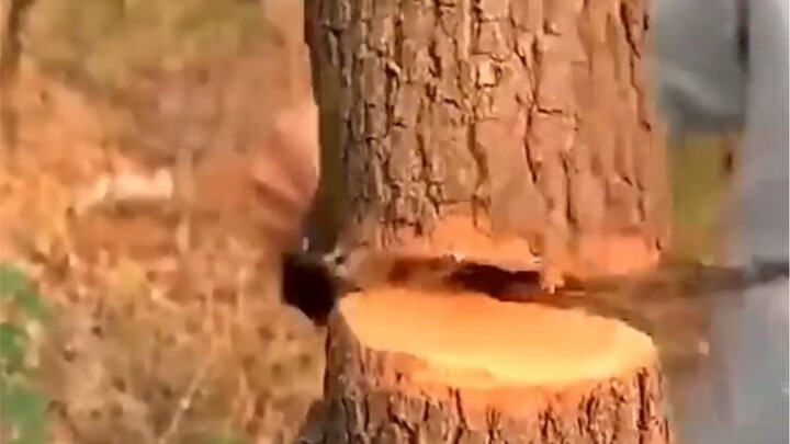 Everyday life hacks with hardware items bring surprises everywhere