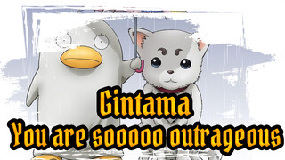 Gintama|You are sooooo outrageous.