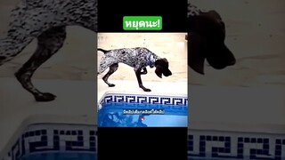 หยุดนะ!