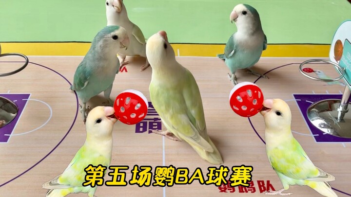 Pertandingan Bola NiaoBA Kelima