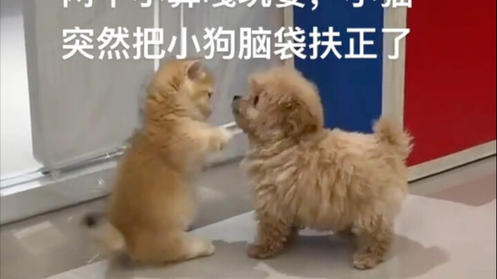 我俩天下第一好