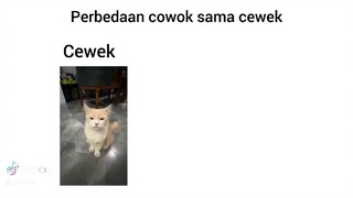 Perbedaan cowok dan cewek