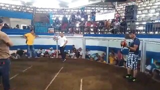 JsRapapap claret win dehado,,