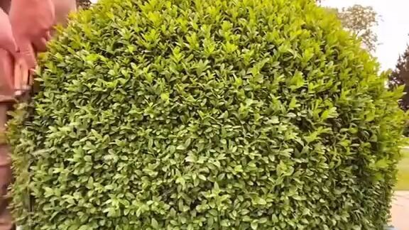 Some inresting working and moves