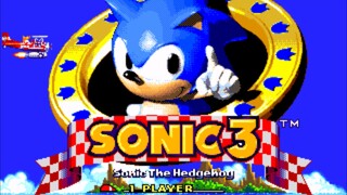 Sonic the hedgehog 3 by SEGA