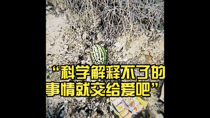 “Leave what science can’t explain to love.”