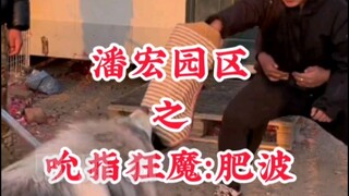 Pan Hong Park's Finger-Licking Man: Fei Bo