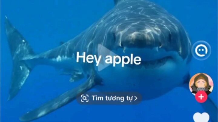 #thửtháchđăngvideo6