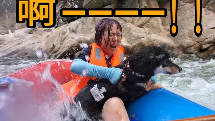 主人带狗漂流, 柴犬:我有我自己的想法! 然后……