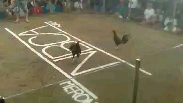 naka dali din sa wakas