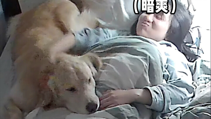 谁懂小狗往肚肚上一趴的暗爽？