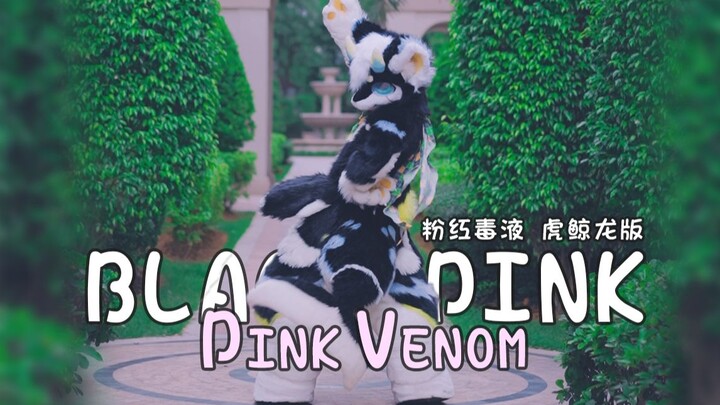 在众人讨论你热不热的时候我跳了一个Pink Venom~