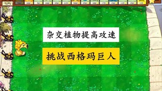 杂交植物攻速提高100倍，挑战西格玛甩籽巨人