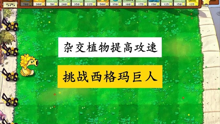 杂交植物攻速提高100倍，挑战西格玛甩籽巨人