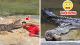 10 Loài động vật bạn nên “chạy ngay đi” trước khi quá muộn