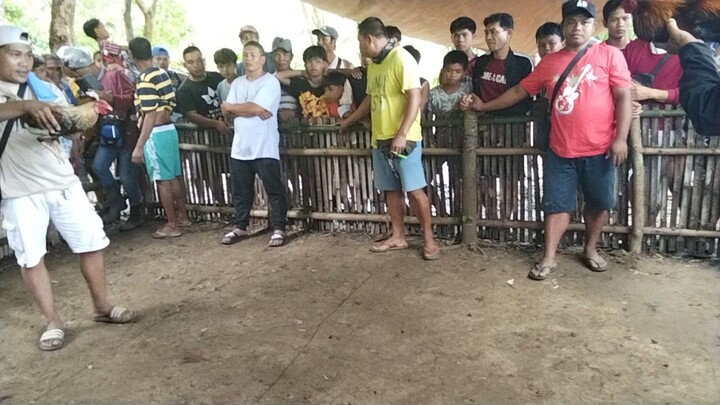 1st fight 1st win pula po sa akin