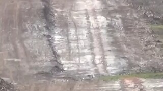 هل جاء توه سينغ سون؟