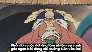 Top 7 Bác Sĩ Vĩ Đại Nhất One Piece p4