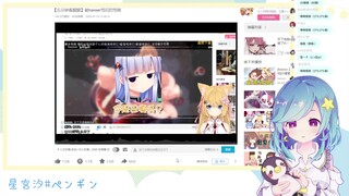 【生肉】9.14见识了花园猫名场面的企鹅