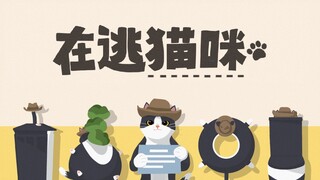 学了三年游戏，我的游戏终于要上steam了｜《在逃猫咪》开发幕后