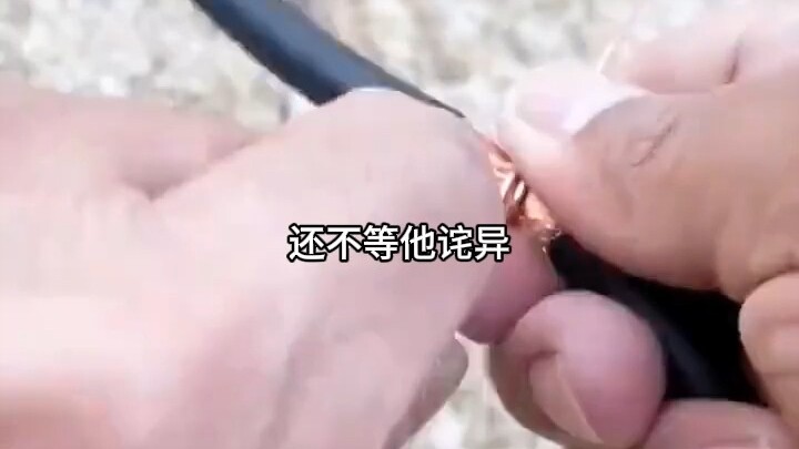 Ma tôn ẩn thế, nữ đế bế con đến nhà đòi chịu trách nhiệm 12