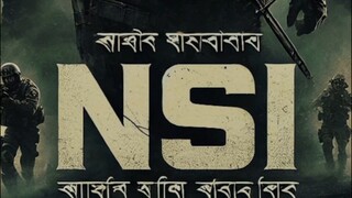 nsi