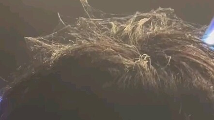 Đang xem concert thì bị mái tóc của anh chàng ngồi hàng đầu hút mắt, nhìn kỹ mới phát hiện ra hóa ra