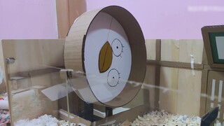 It took 50 hours to build a jack of all trades for the hamster ~ The whole process of landscaping th