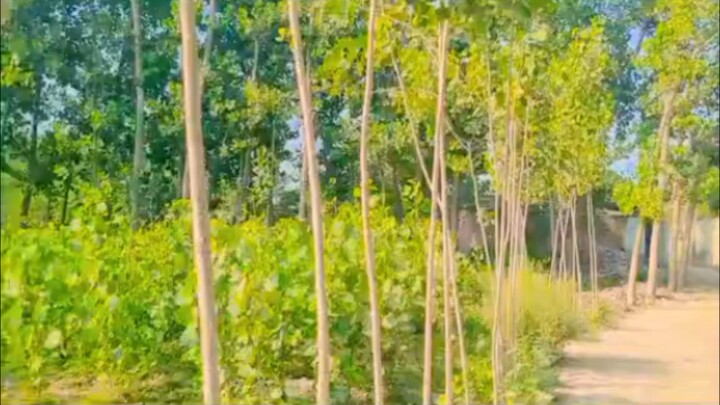 My First Video Viral Video you Can help me China USA people who are sharing thanks for the first
