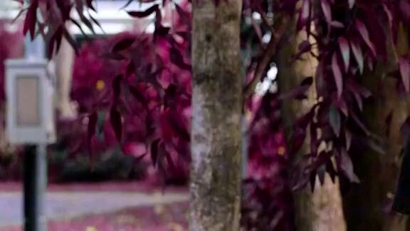 basketball lang sakalam