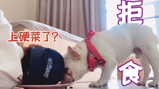 When the owner is away, do dogs sneak and eat their own dog food? The result is surprising!