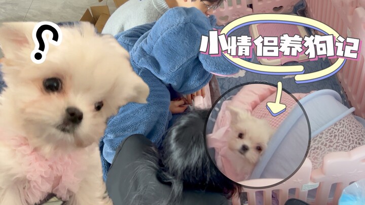 Kisah Beli Anjing Pasangan Muda｜Menyambut Anggota Baru, Si Sayang “Mimi”!