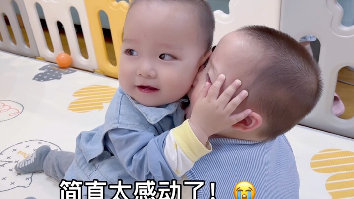 Tôi tin rằng các bạn cũng giống tôi, đều đã hoàn toàn xúc động trước tình anh em sâu sắc của hai ngư